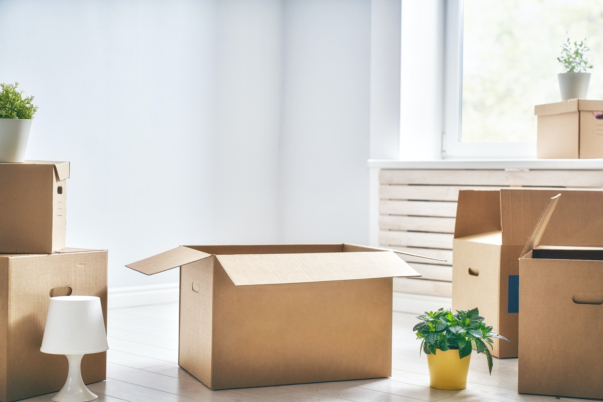 Moving boxes in a room with a potted plant.