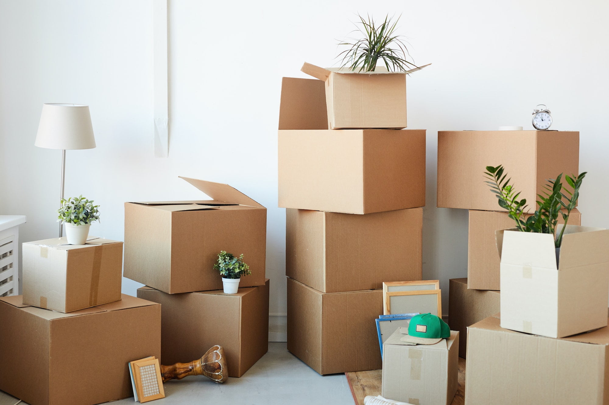 Moving boxes in a room with a plant and a lamp.